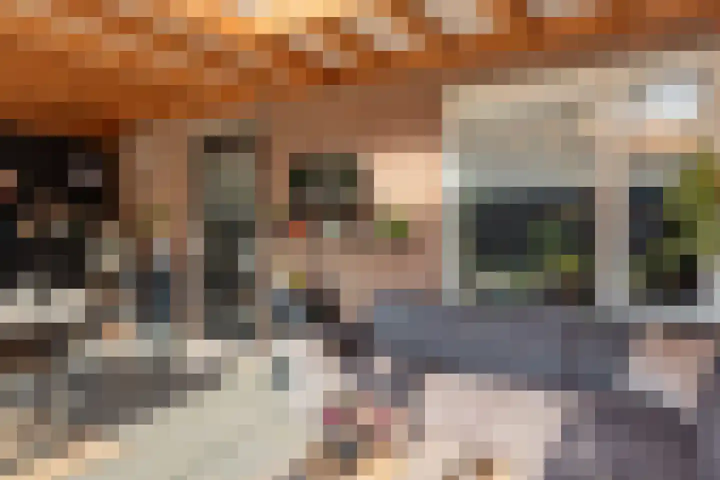 Verlengde Looweg 3 A Oldebroek thumbnail 46
