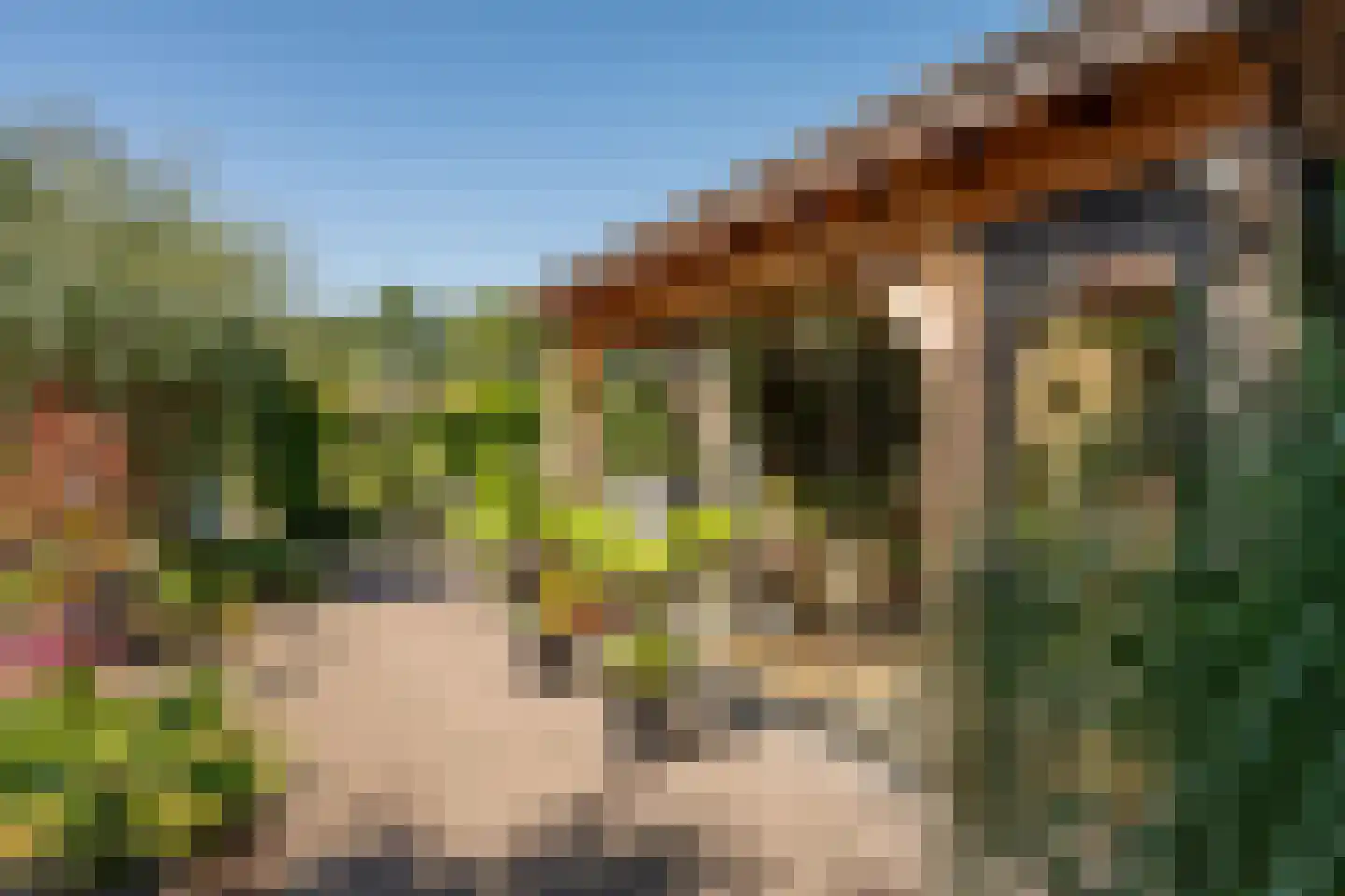 Verlengde Looweg 3 A Oldebroek thumbnail 47