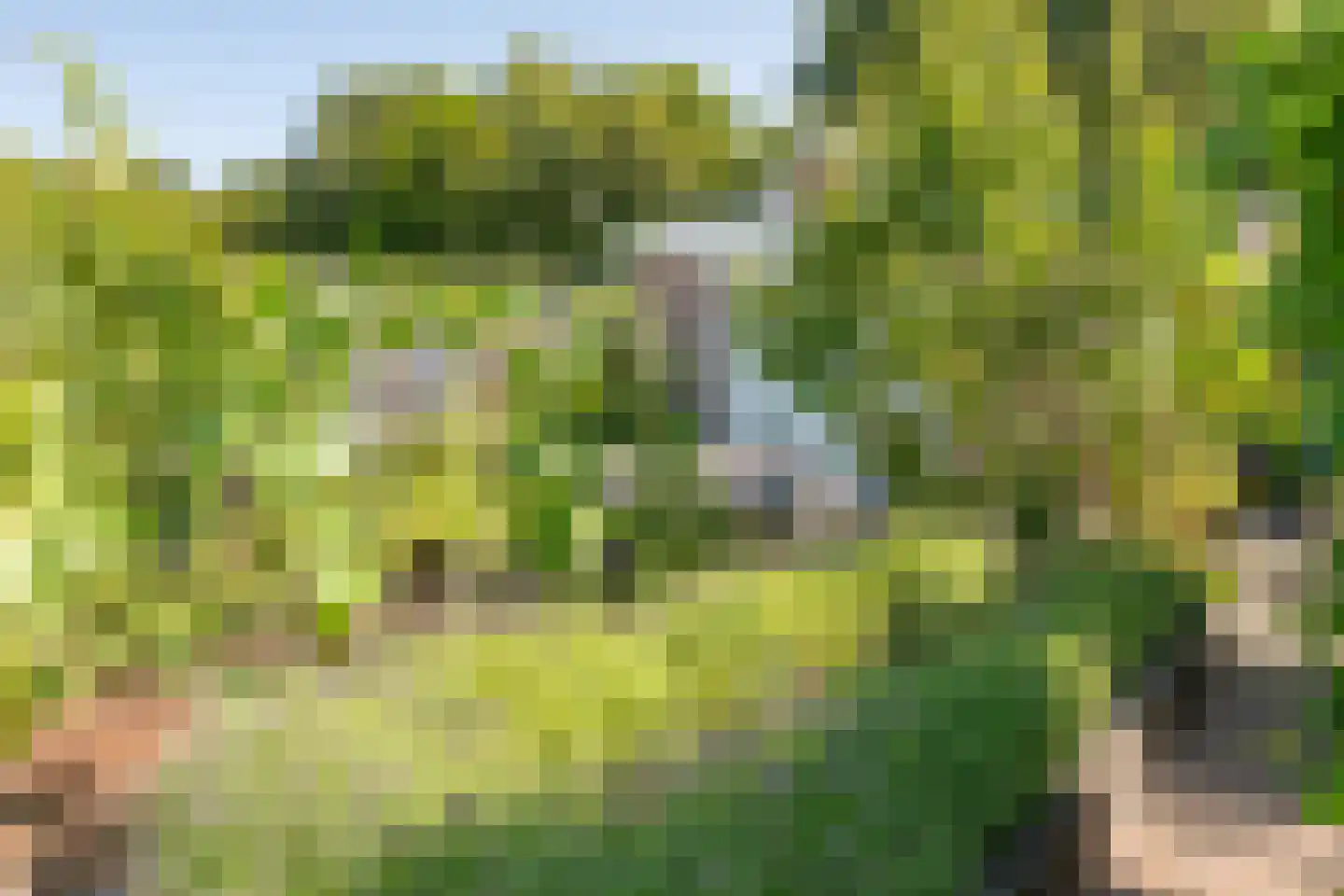 Verlengde Looweg 3 A Oldebroek thumbnail 56