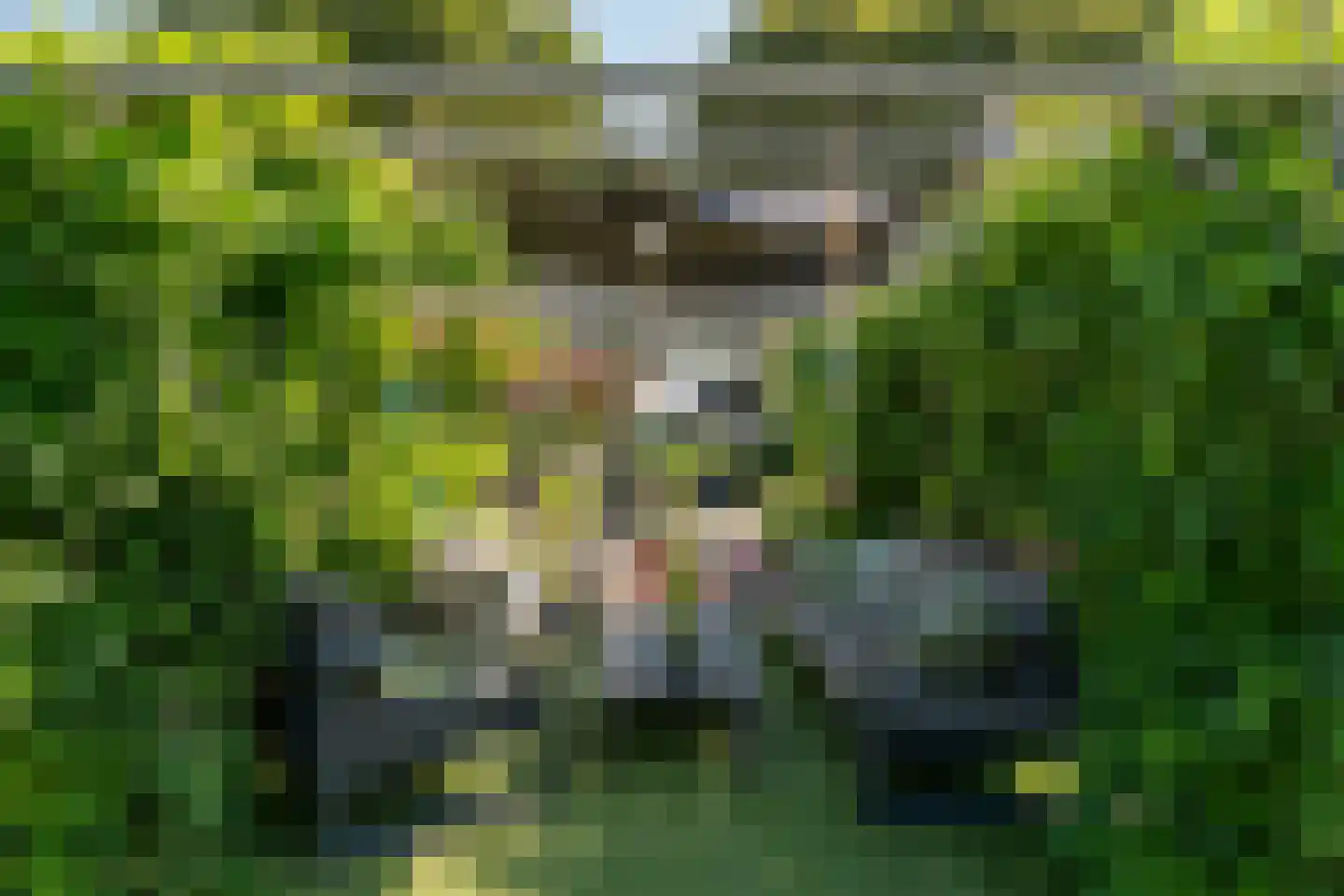 Verlengde Looweg 3 A Oldebroek thumbnail 57
