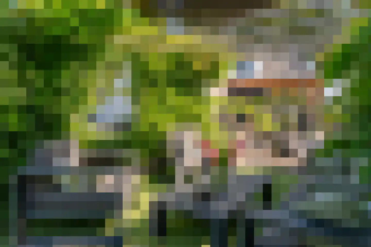 Verlengde Looweg 3 A Oldebroek thumbnail 58