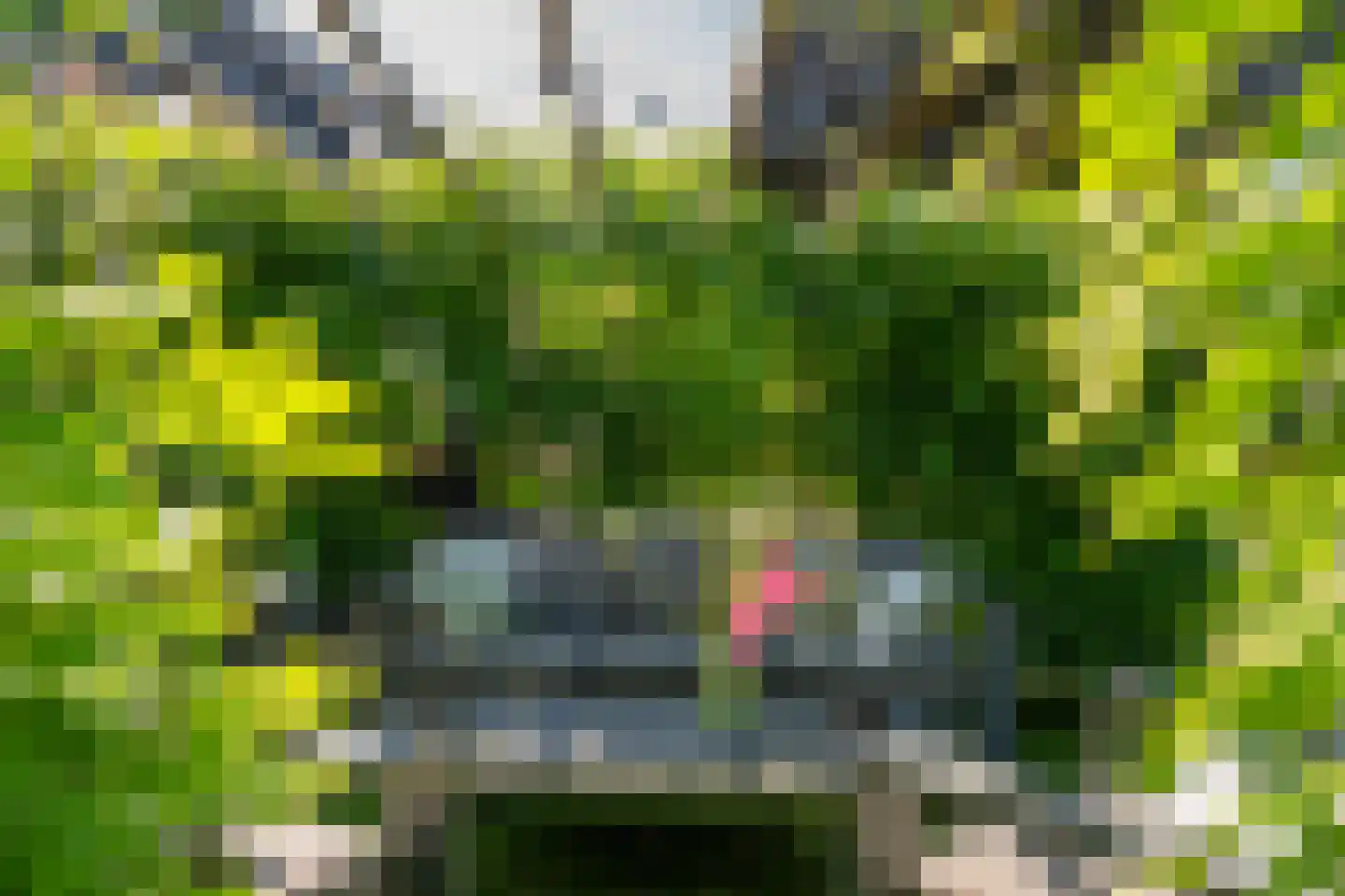 Verlengde Looweg 3 A Oldebroek thumbnail 59
