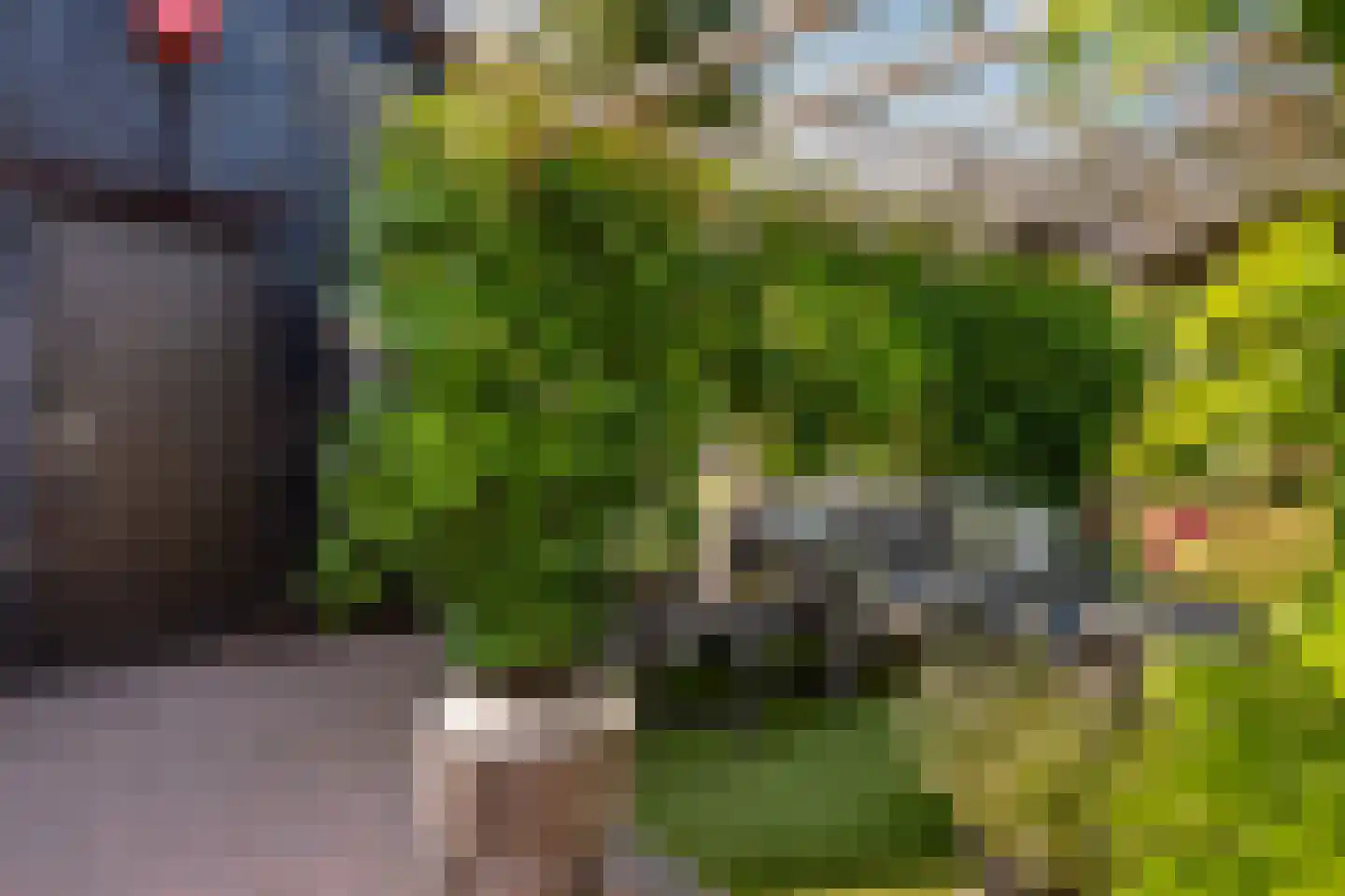 Verlengde Looweg 3 A Oldebroek thumbnail 60