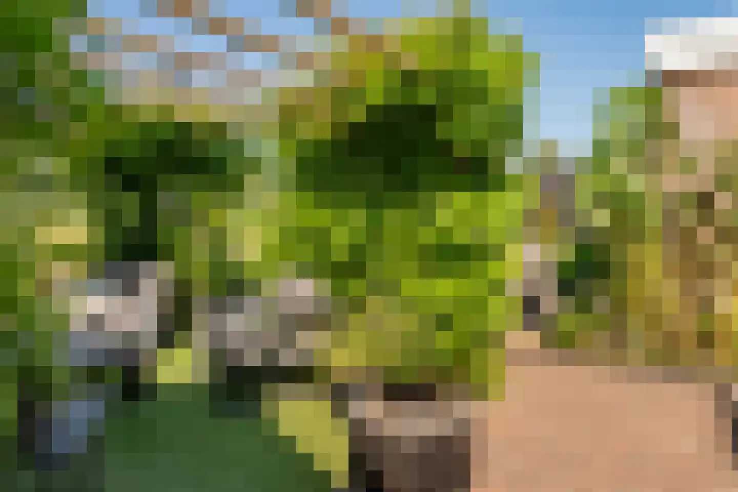 Verlengde Looweg 3 A Oldebroek thumbnail 61