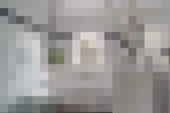 Verlengde Maanderweg 105 Ede thumbnail 30