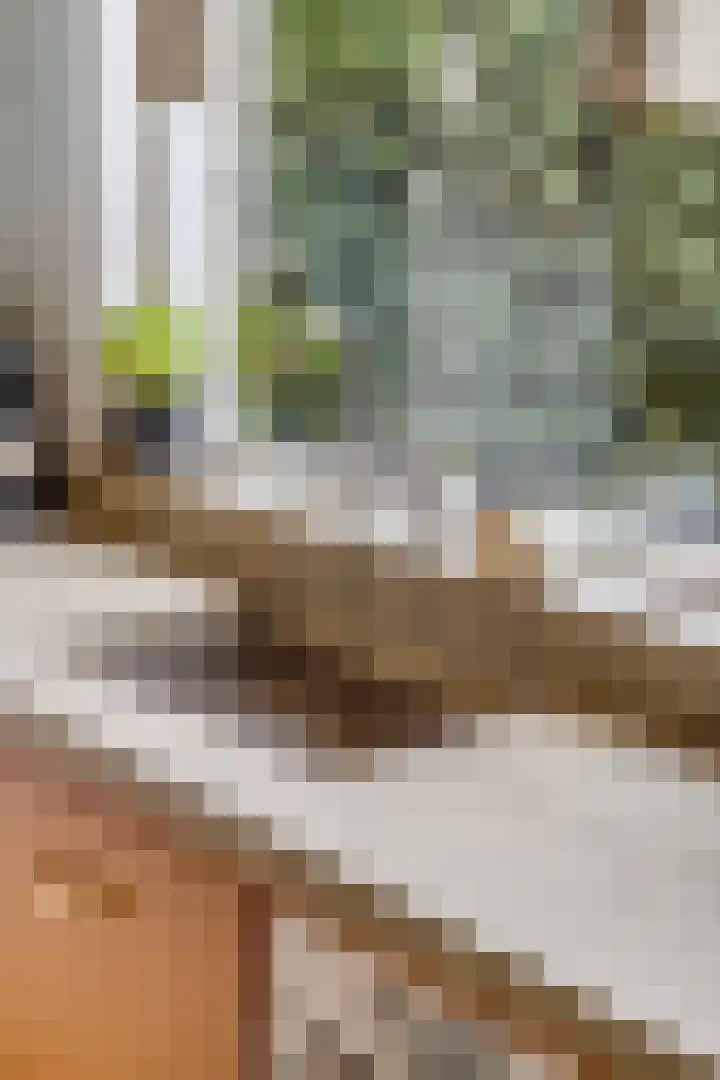 Verlengde Maanderweg 110 Ede thumbnail 12