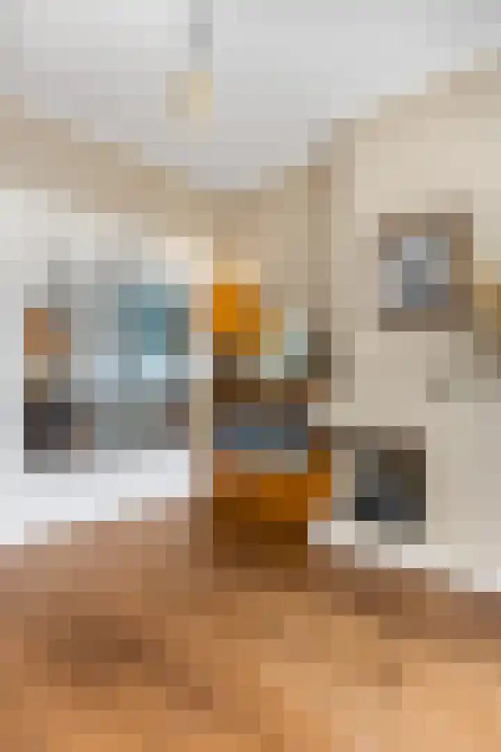 Verlengde Maanderweg 110 Ede thumbnail 22