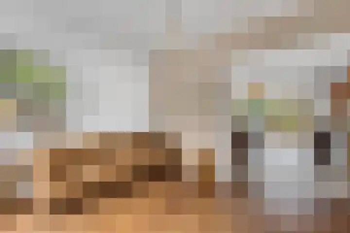 Verlengde Maanderweg 110 Ede thumbnail 23