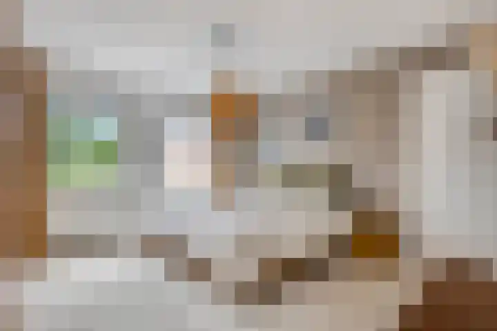 Verlengde Maanderweg 110 Ede thumbnail 27