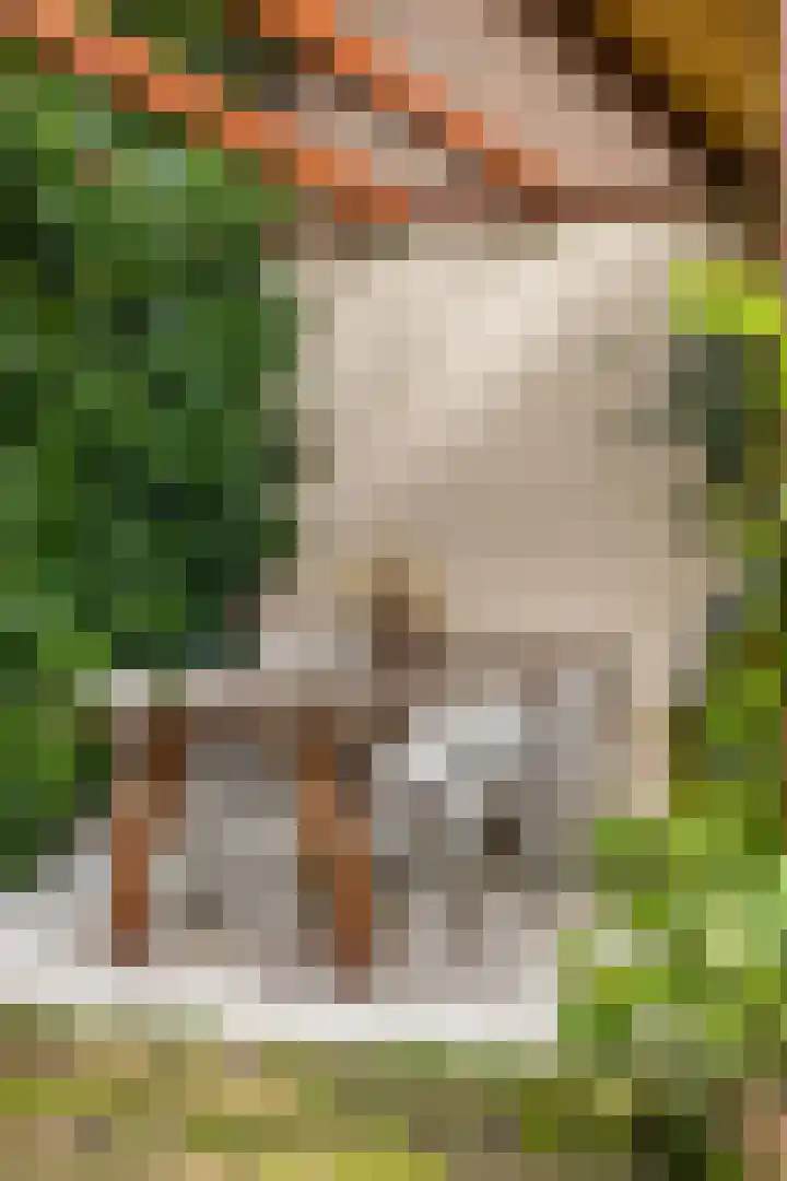 Verlengde Maanderweg 110 Ede thumbnail 43