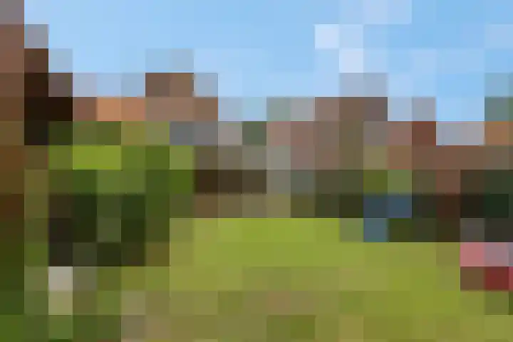 Verlengde Maanderweg 110 Ede thumbnail 47