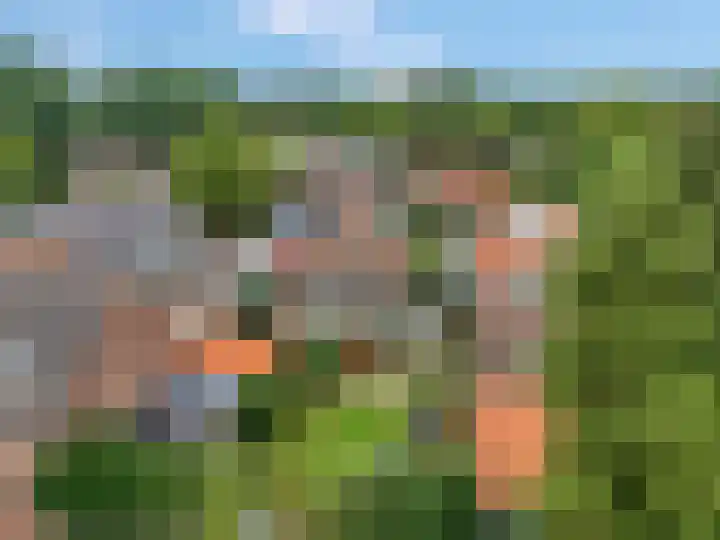 Verlengde Maanderweg 110 Ede thumbnail 56
