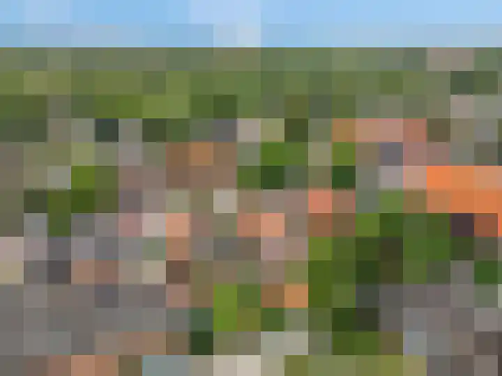 Verlengde Maanderweg 110 Ede thumbnail 57