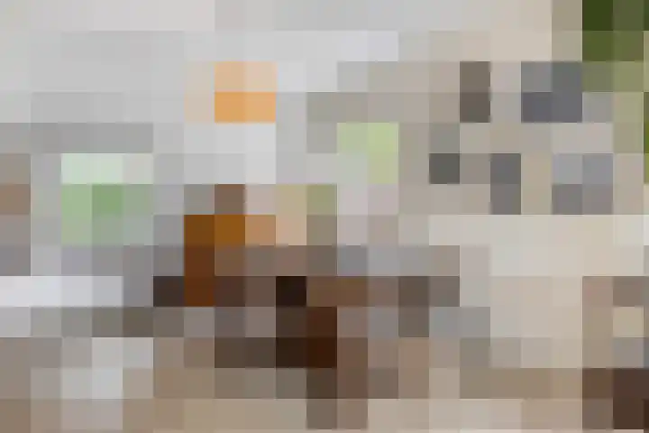 Verlengde Maanderweg 110 Ede thumbnail 8