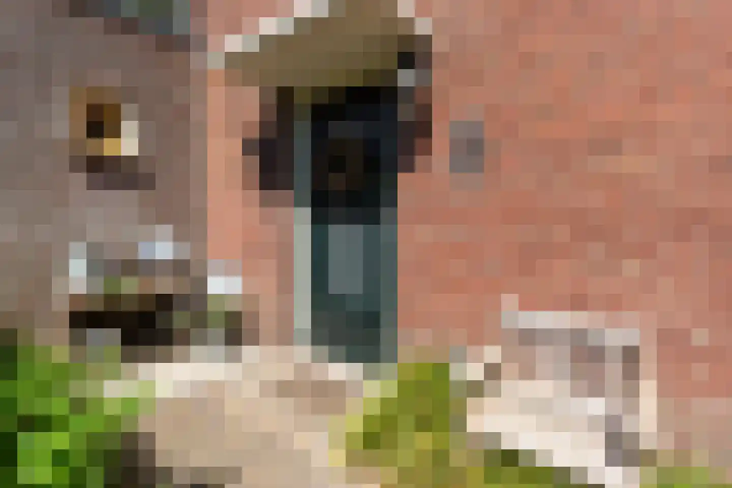 Verlengde Maanderweg 142 Ede thumbnail 15