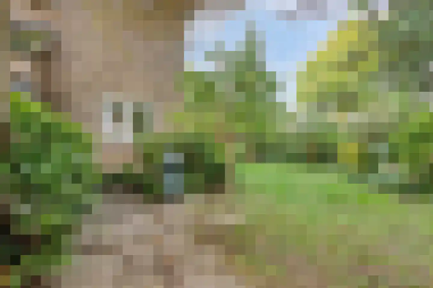 Verlengde Maanderweg 81 Ede thumbnail 15