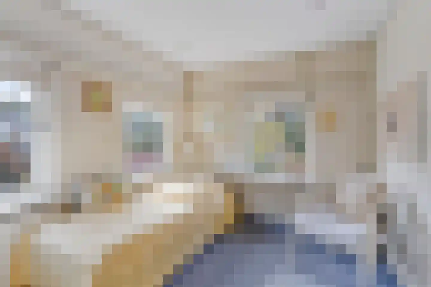 Verlengde Maanderweg 81 Ede thumbnail 56
