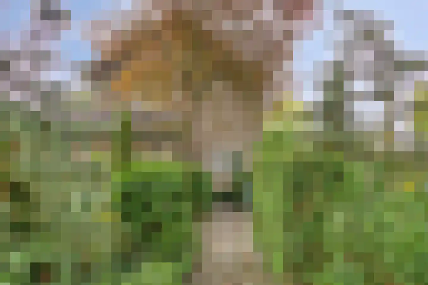 Verlengde Maanderweg 81 Ede thumbnail 6