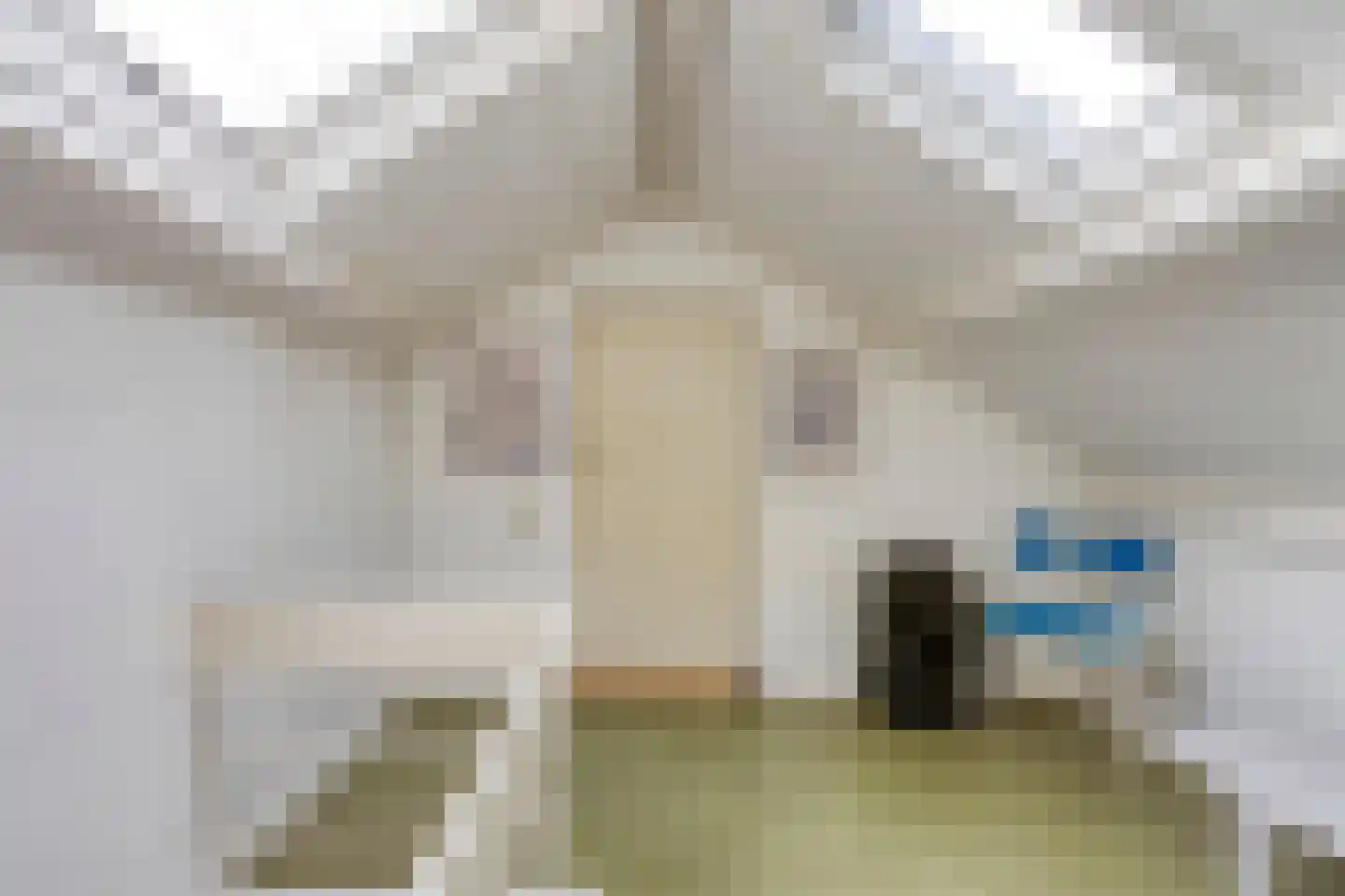 Verlengde Maanderweg 81 Ede thumbnail 60