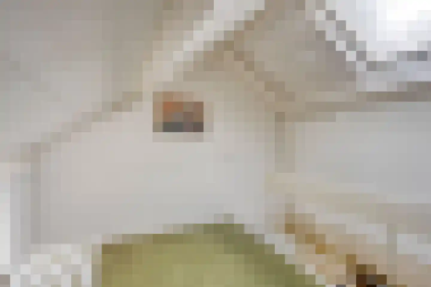 Verlengde Maanderweg 81 Ede thumbnail 61