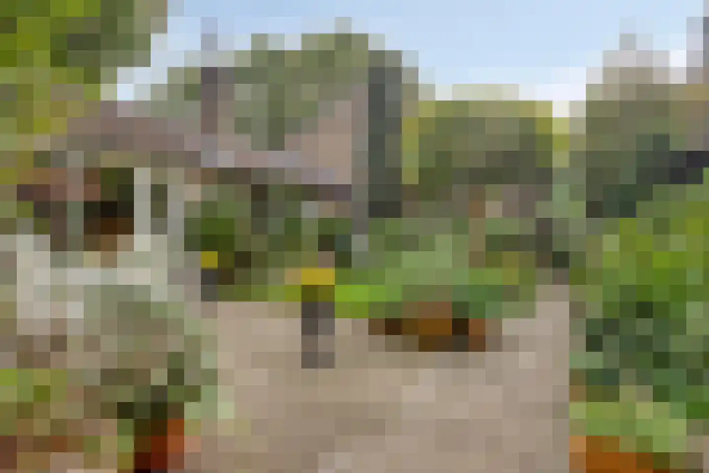 Verlengde Maanderweg 81 Ede thumbnail 67