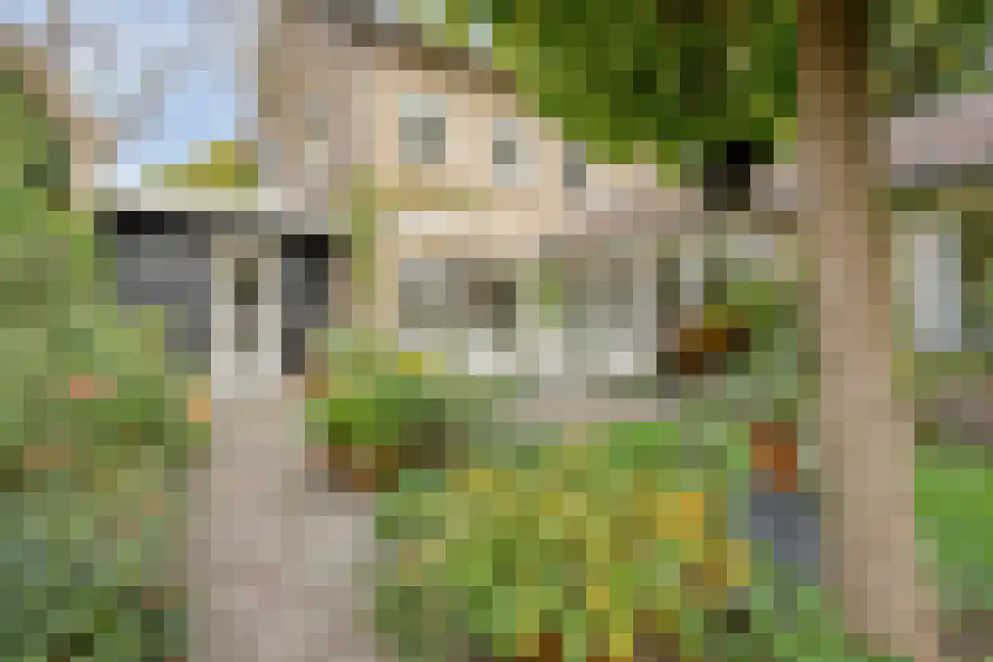 Verlengde Maanderweg 81 Ede thumbnail 69