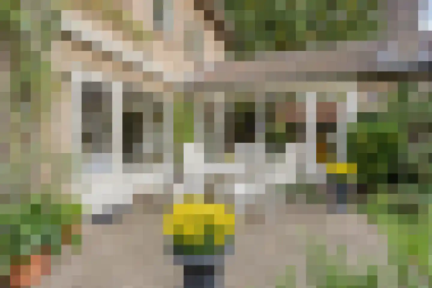Verlengde Maanderweg 81 Ede thumbnail 70