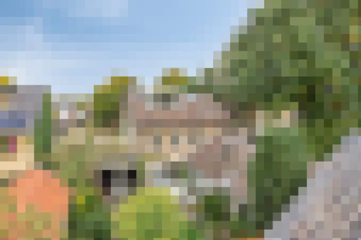 Verlengde Maanderweg 81 Ede thumbnail 78