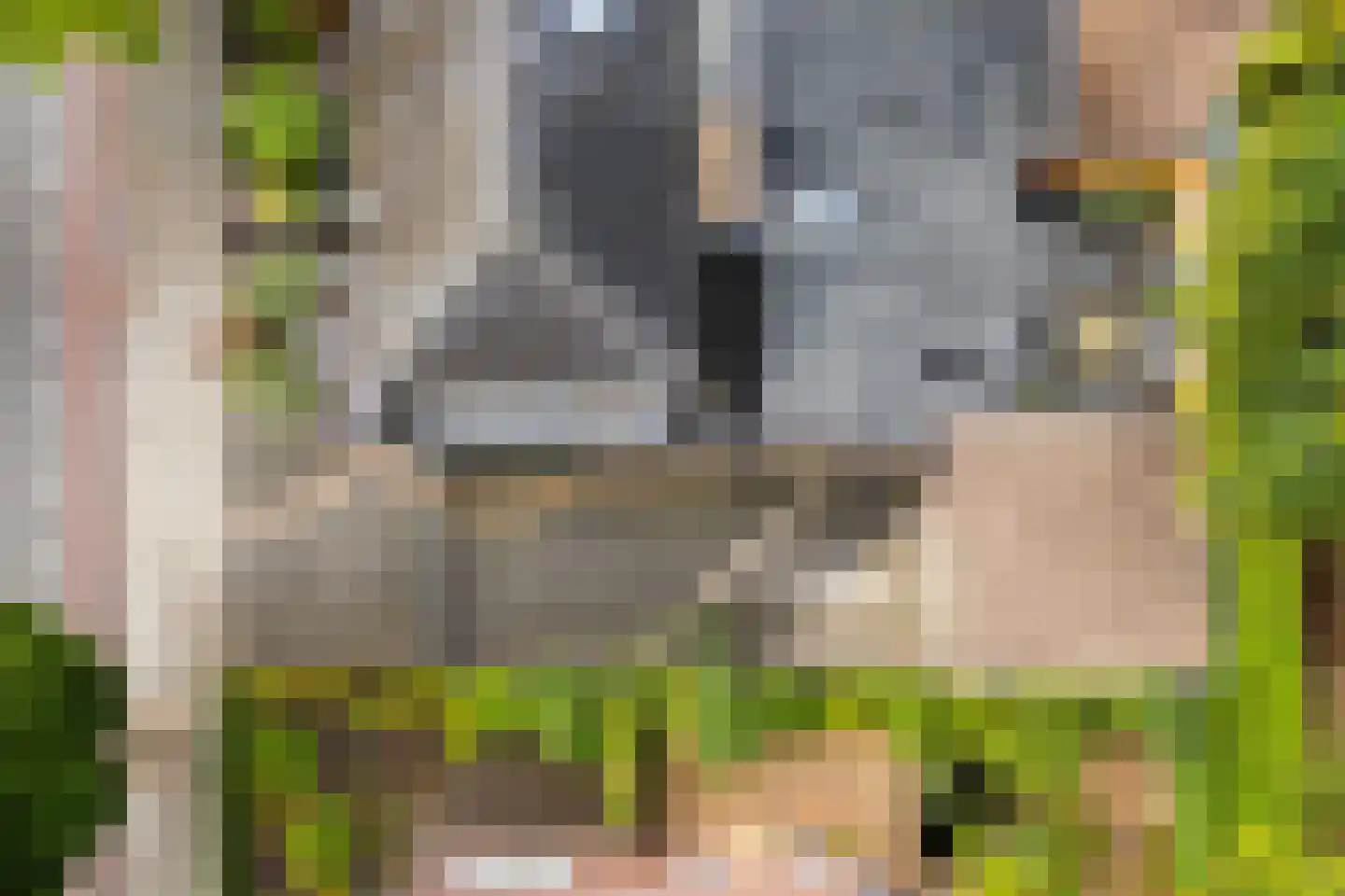 Verlengde Maanderweg 88 Ede thumbnail 36