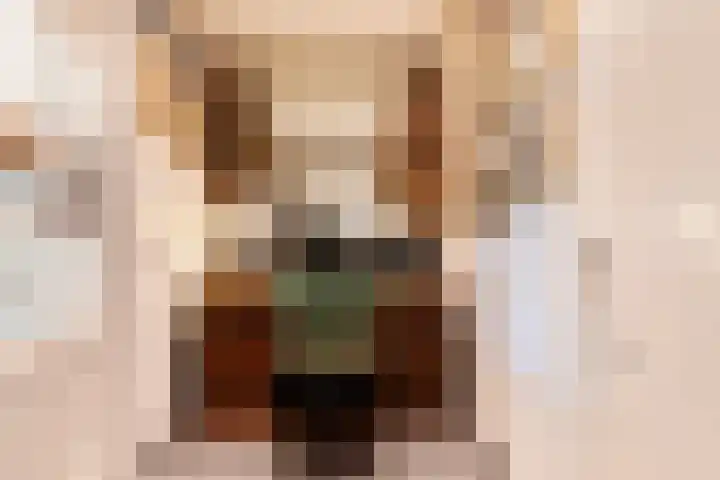 Verlengde Meenweg 2 Markelo thumbnail 16