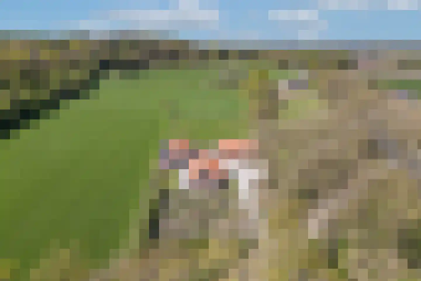 Verlengde Meenweg 2 Markelo foto 2