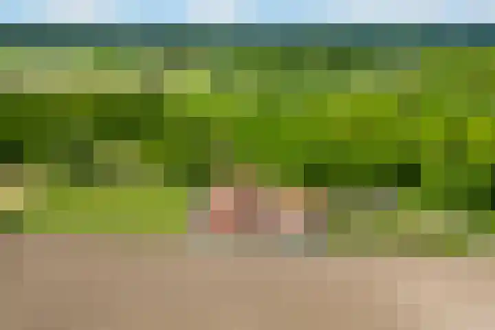 Verlengde Meenweg 2 Markelo foto 2
