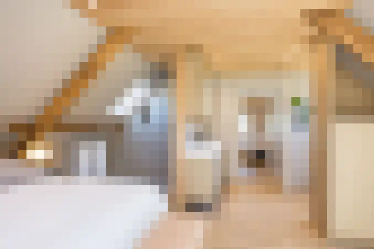 Verlengde Meenweg 2 Markelo thumbnail 26
