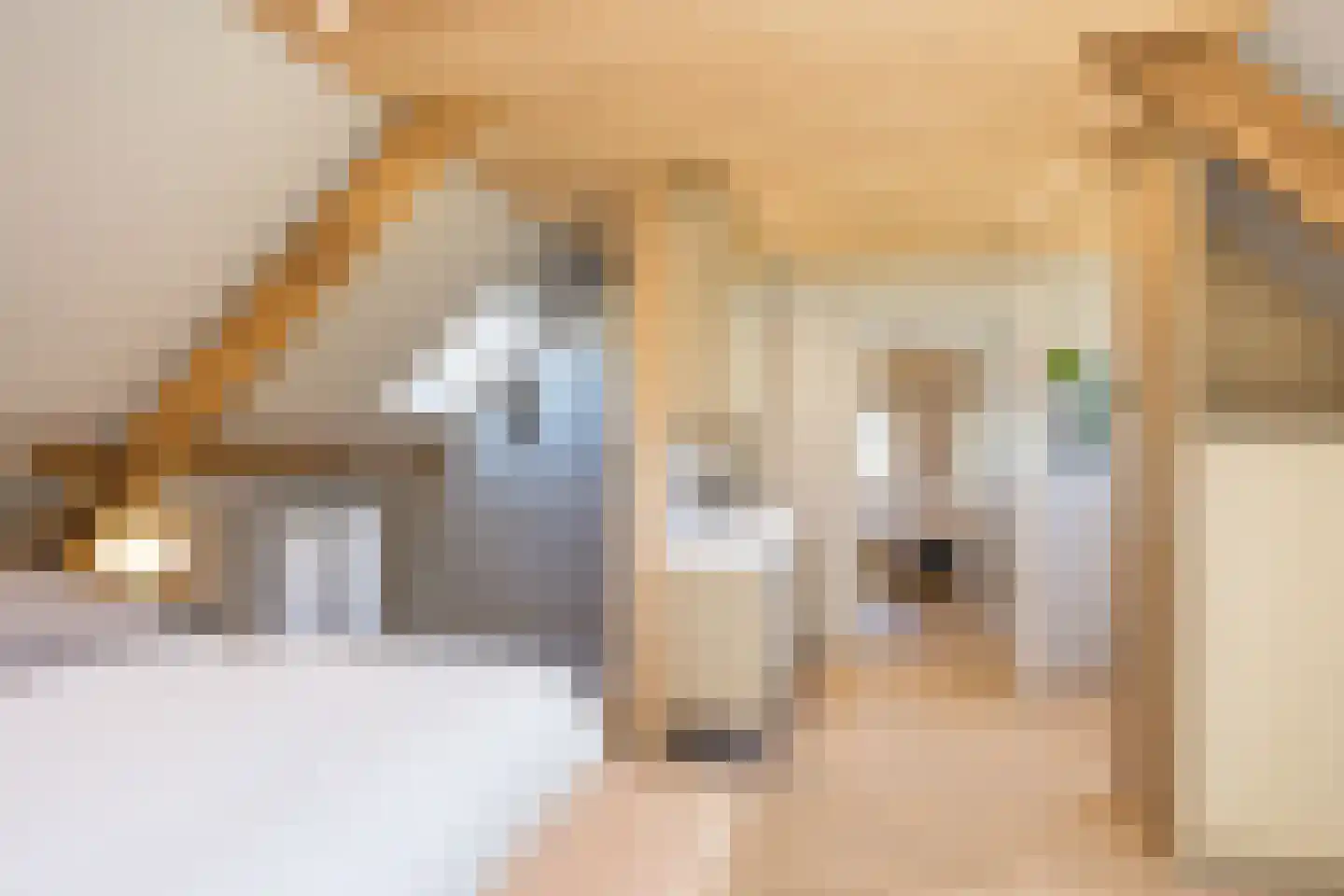 Verlengde Meenweg 2 Markelo thumbnail 26