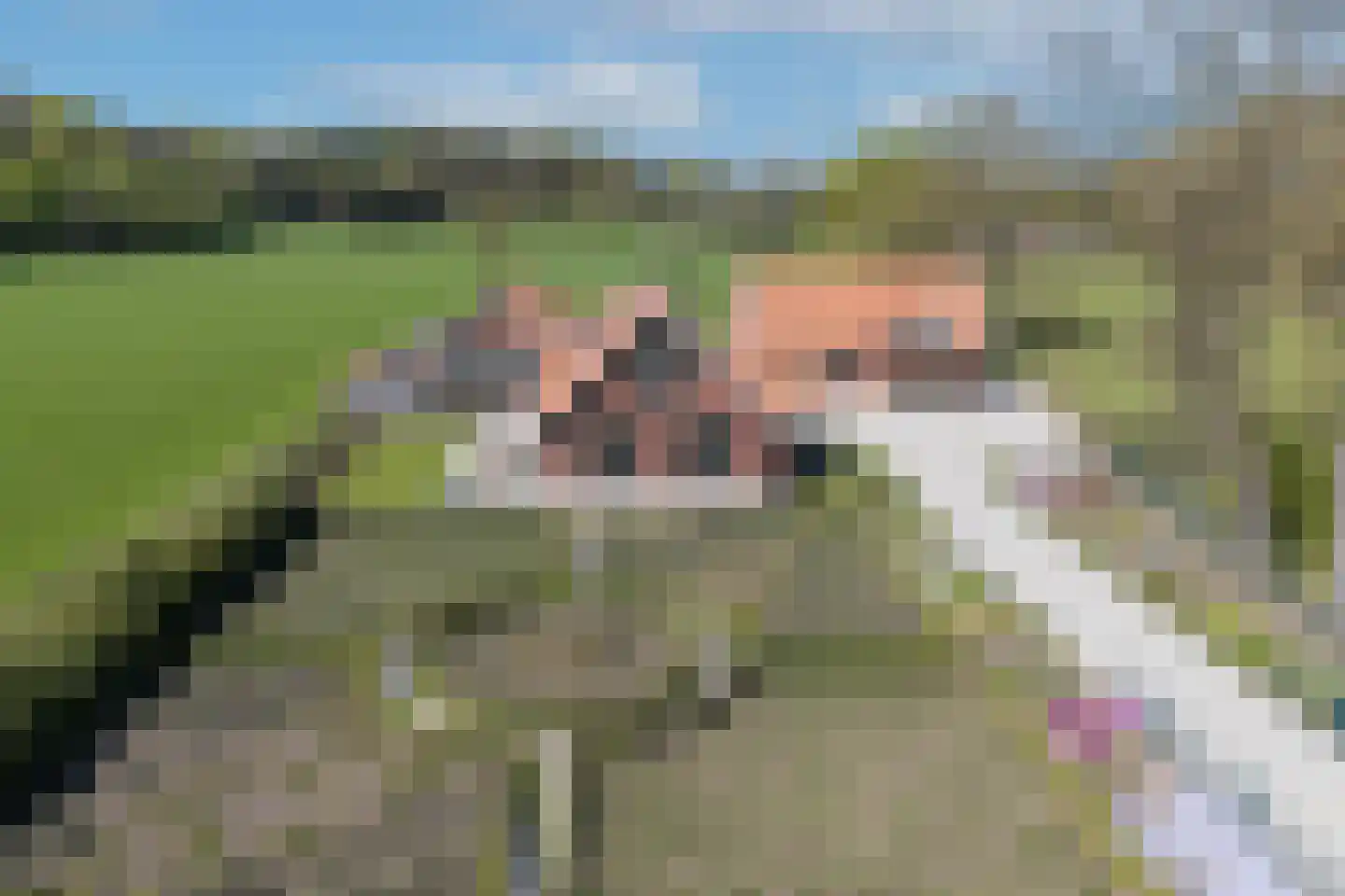 Verlengde Meenweg 2 Markelo foto 3