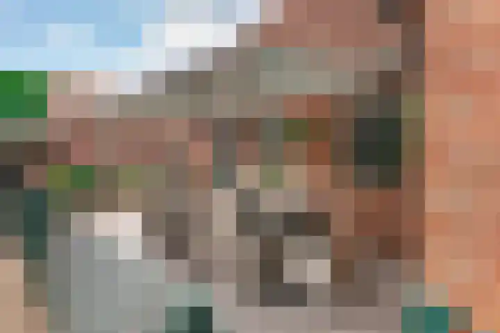 Verlengde Meenweg 2 Markelo thumbnail 31