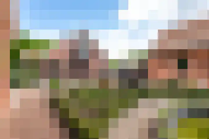 Verlengde Meenweg 2 Markelo thumbnail 37