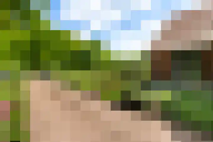 Verlengde Meenweg 2 Markelo thumbnail 42