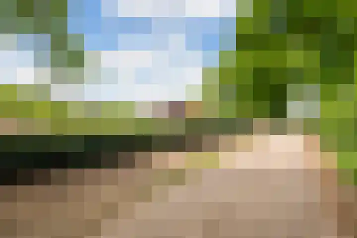 Verlengde Meenweg 2 Markelo thumbnail 45