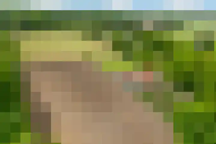Verlengde Meenweg 2 Markelo thumbnail 47