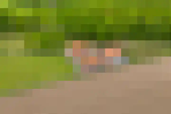 Verlengde Meenweg 2 Markelo thumbnail 48