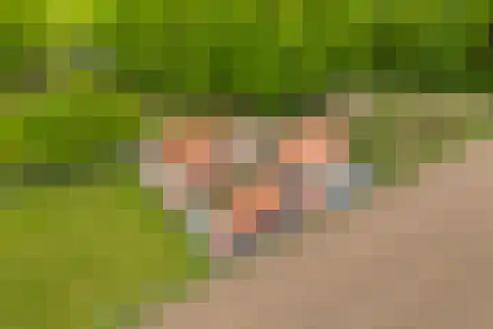 Verlengde Meenweg 2 Markelo thumbnail 49