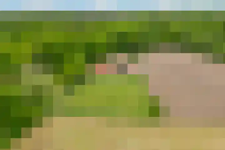 Verlengde Meenweg 2 Markelo thumbnail 50
