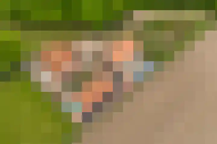 Verlengde Meenweg 2 Markelo thumbnail 51