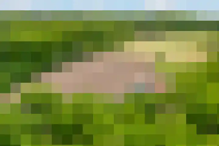 Verlengde Meenweg 2 Markelo thumbnail 52