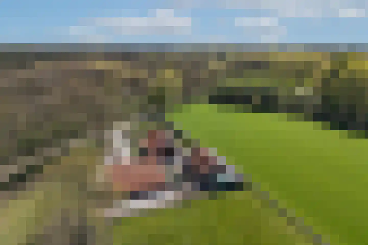 Verlengde Meenweg 2 Markelo thumbnail 53