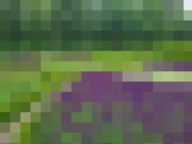 Verlengde Meenweg 2 Markelo thumbnail 6