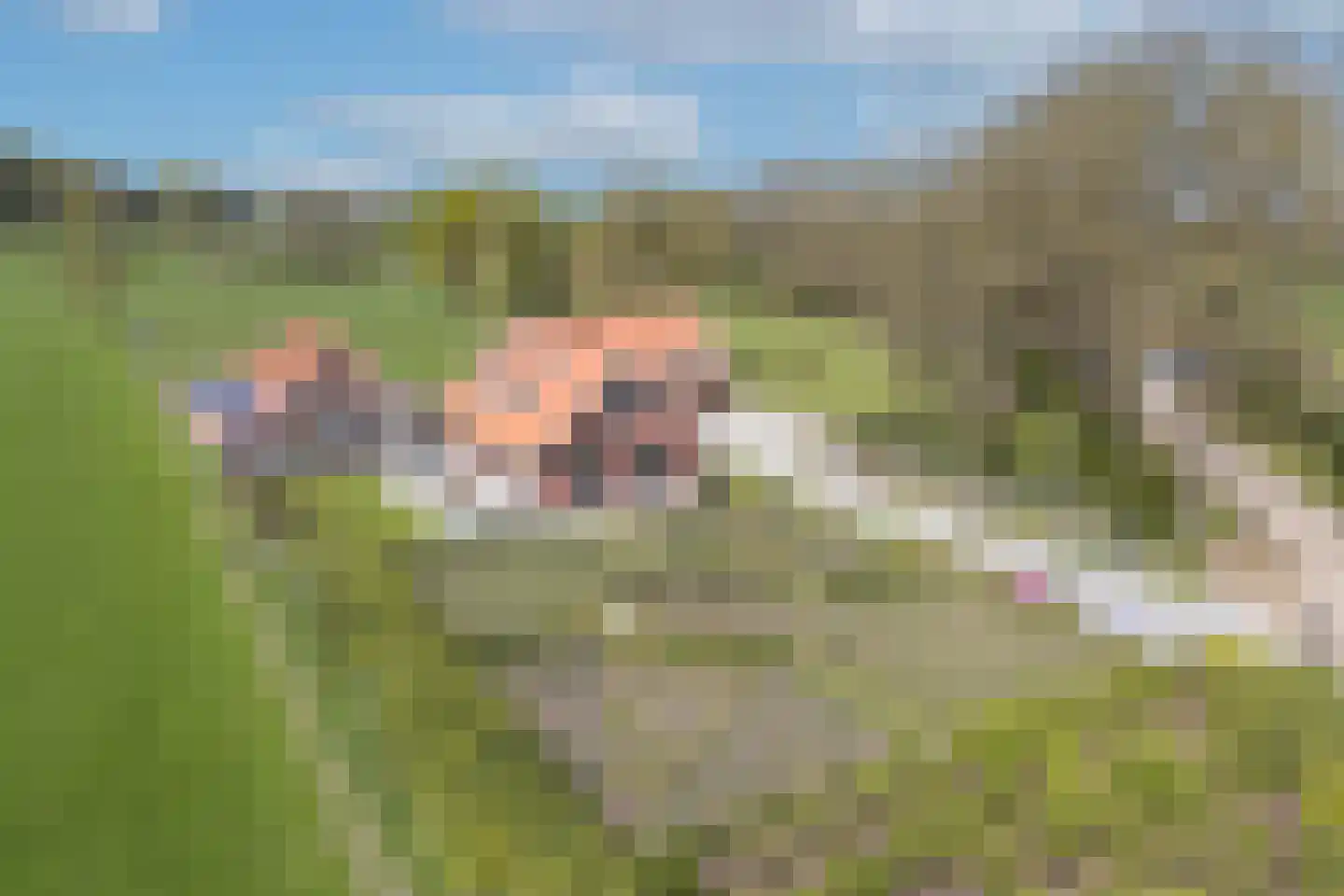 Verlengde Meenweg 2 Markelo thumbnail 7