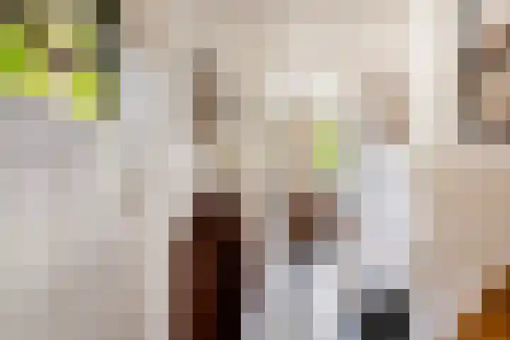 Verlengde Meenweg 2 Markelo thumbnail 8