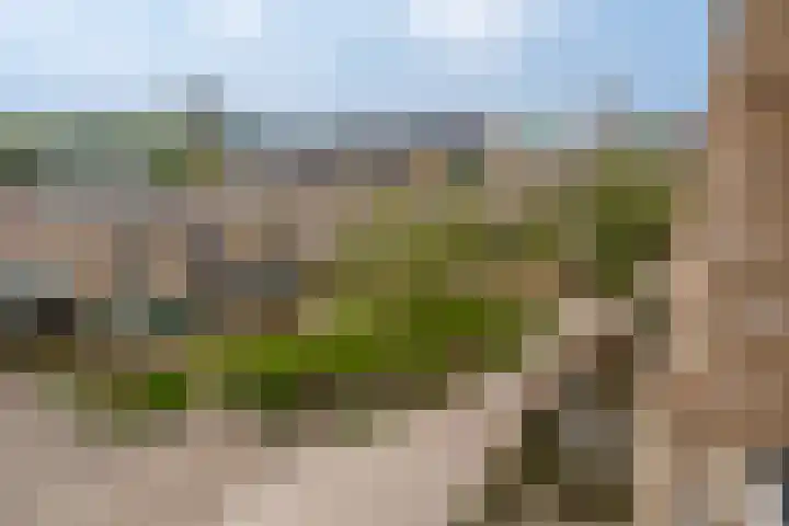 Verlengde Meeuwerderweg 15 Groningen thumbnail 11